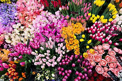 Key社视觉小说《星之终途》Switch版正式发售 支持中文